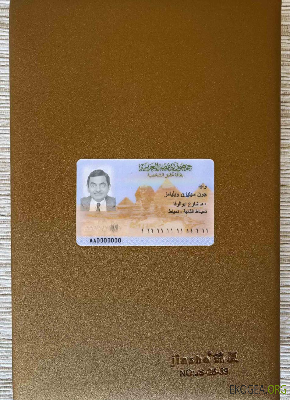 Photolook d'identité égyptienne AVANT